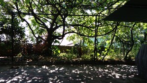 An outdoor area with a stone floor, surrounded by trees and foliage, providing a shaded environment. - Apartment Neno (Crikvenica)