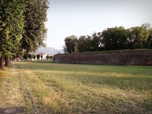 Garden - Marconi Affittacamere (Lucca)