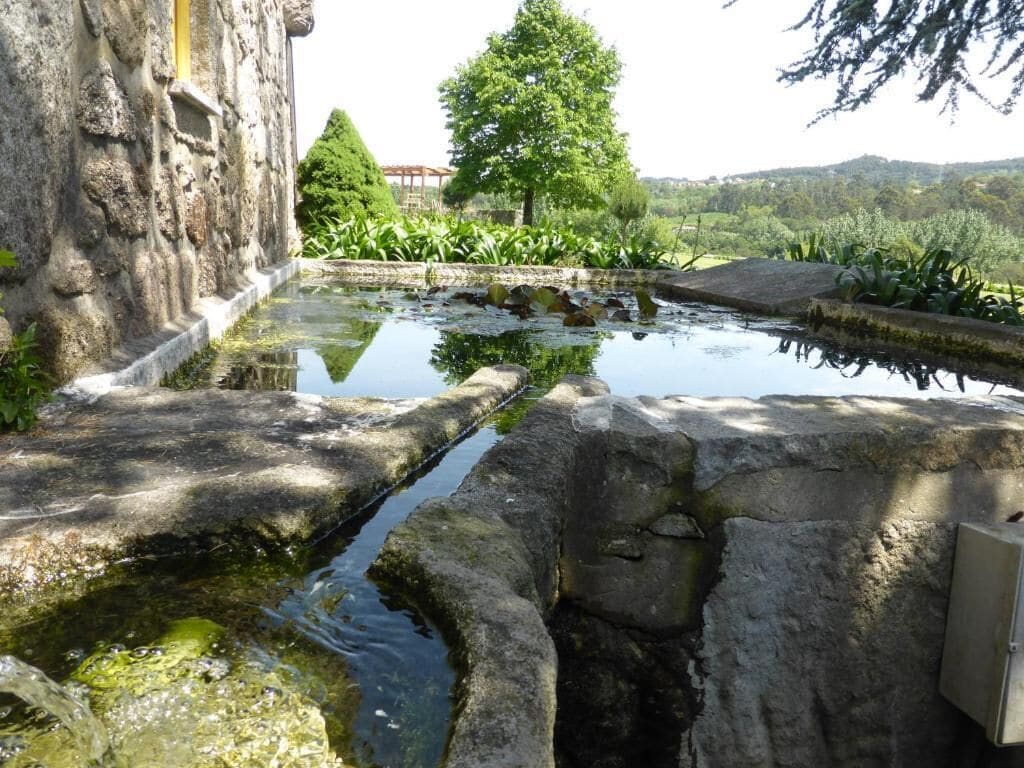 Una fuente de piedra con un riachuelo estrecho, rodeada de follaje y un árbol.