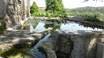 A stone water feature with a narrow stream, surrounded by greenery and a tree.