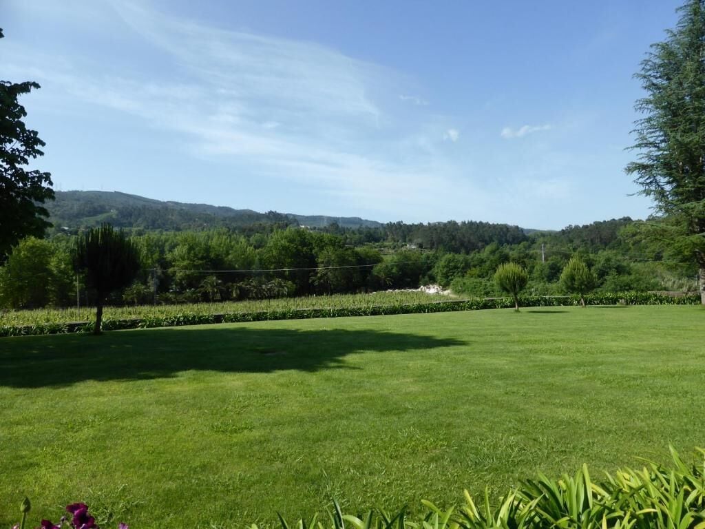 A grassy field with trees and a clear sky.