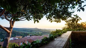 Une vue d’une colline, avec des bâtiments et un arbre au premier plan.