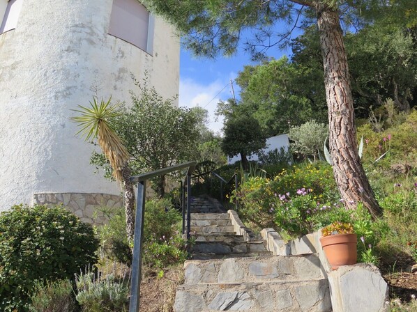 Property grounds - Ali49 - (Rosas / Roses)