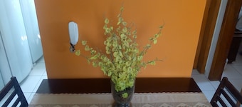 HAPPY CORNER ¨ MY CORNER IN MINE "