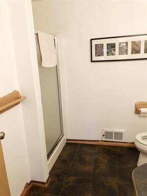Un baño con ducha, inodoro, una foto enmarcada en la pared y una toalla colgada en la puerta.