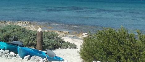 Ein Strand mit blauem Himmel, ruhiger See und einigen Palmen.