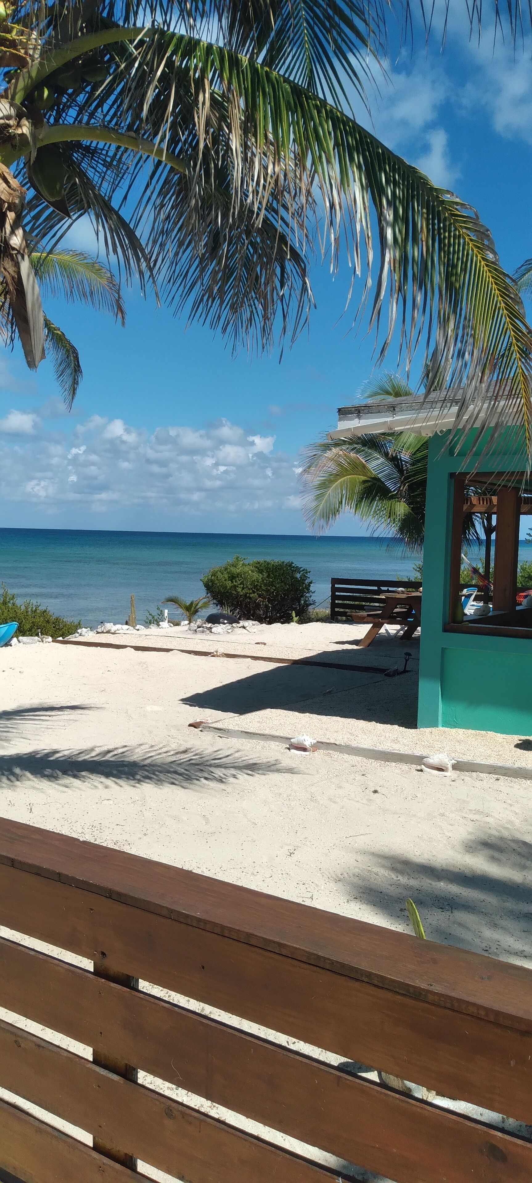 A beach with a wooden bench, a small structure, and a palm tree.