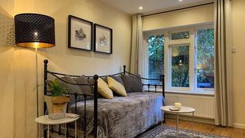 Smart TV, DVD player, books, video library