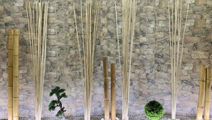 A stone wall with vertical bamboo sticks and a small bonsai tree. - Villaverde Azores (Ponta Delgada)