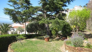 Ein Garten mit verschiedenen Pflanzen und einem Kiesweg.