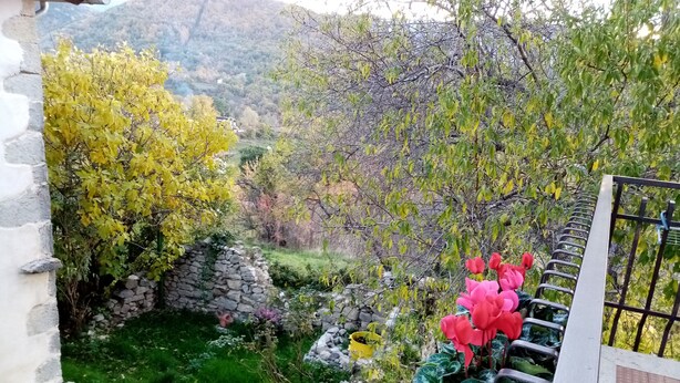 Un jardin avec un mur en pierre, différentes plantes et une rambarde en métal.