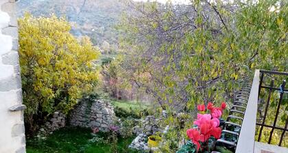 Not Just Relax Holidays