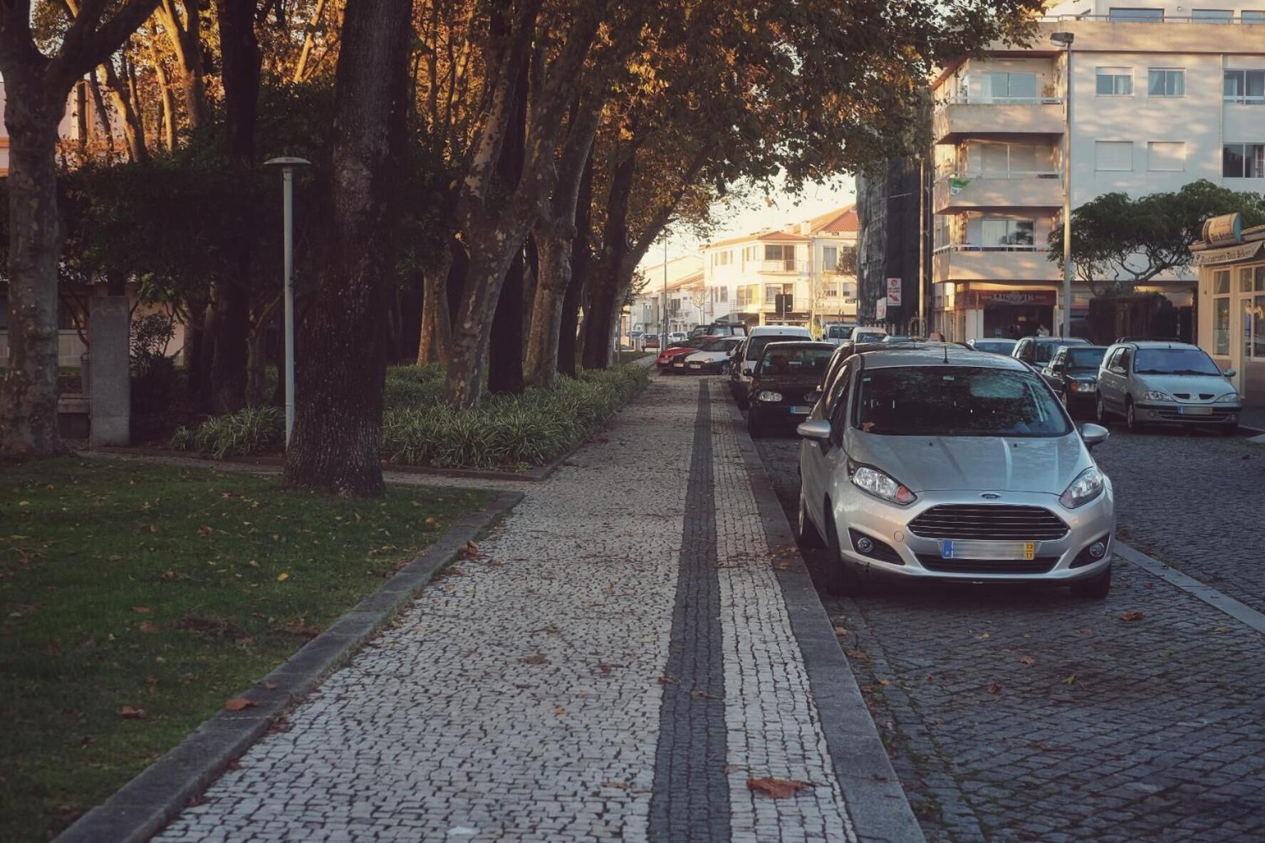 A cobblestone street lined with trees and parked cars.