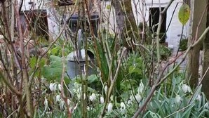 Cottage | Property grounds - Apple Tree Cottage (Beaumaris)