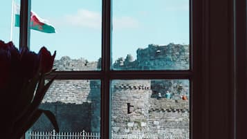 City view from property