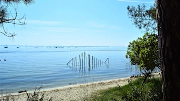 Una spiaggia nelle vicinanze