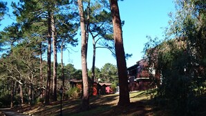 A pathway leading through a wooded area with tall trees and a building in the background. - Duplex studio 2 steps from Carcans-Maubuisson lake (Carcans)