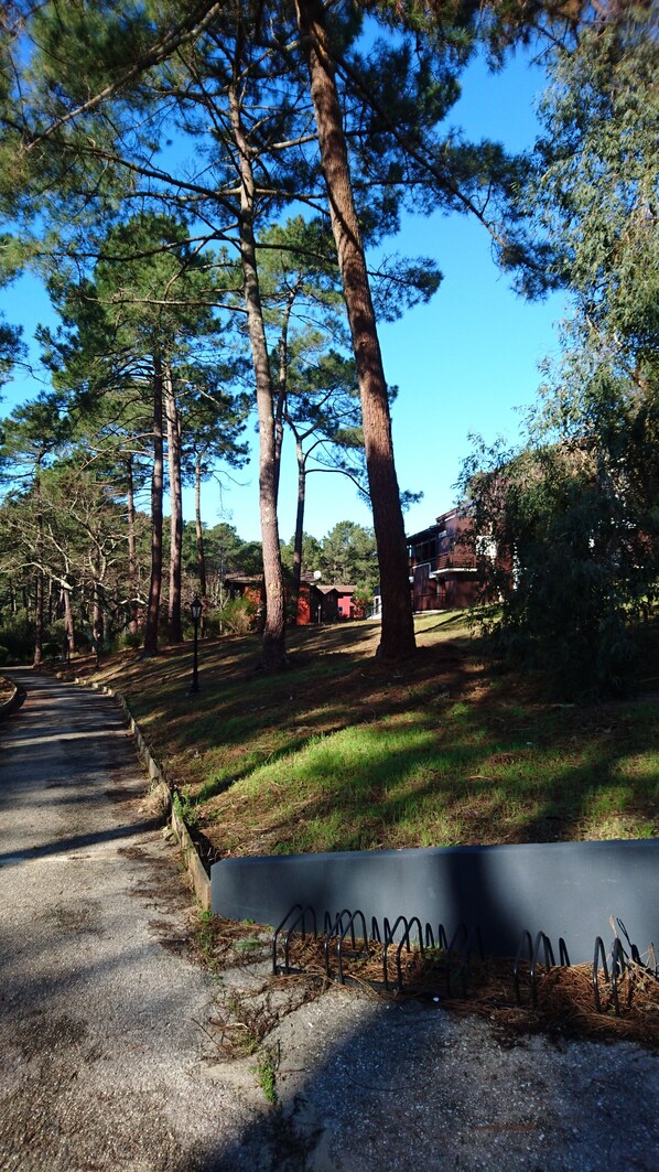 Overnattingsstedets uteområder