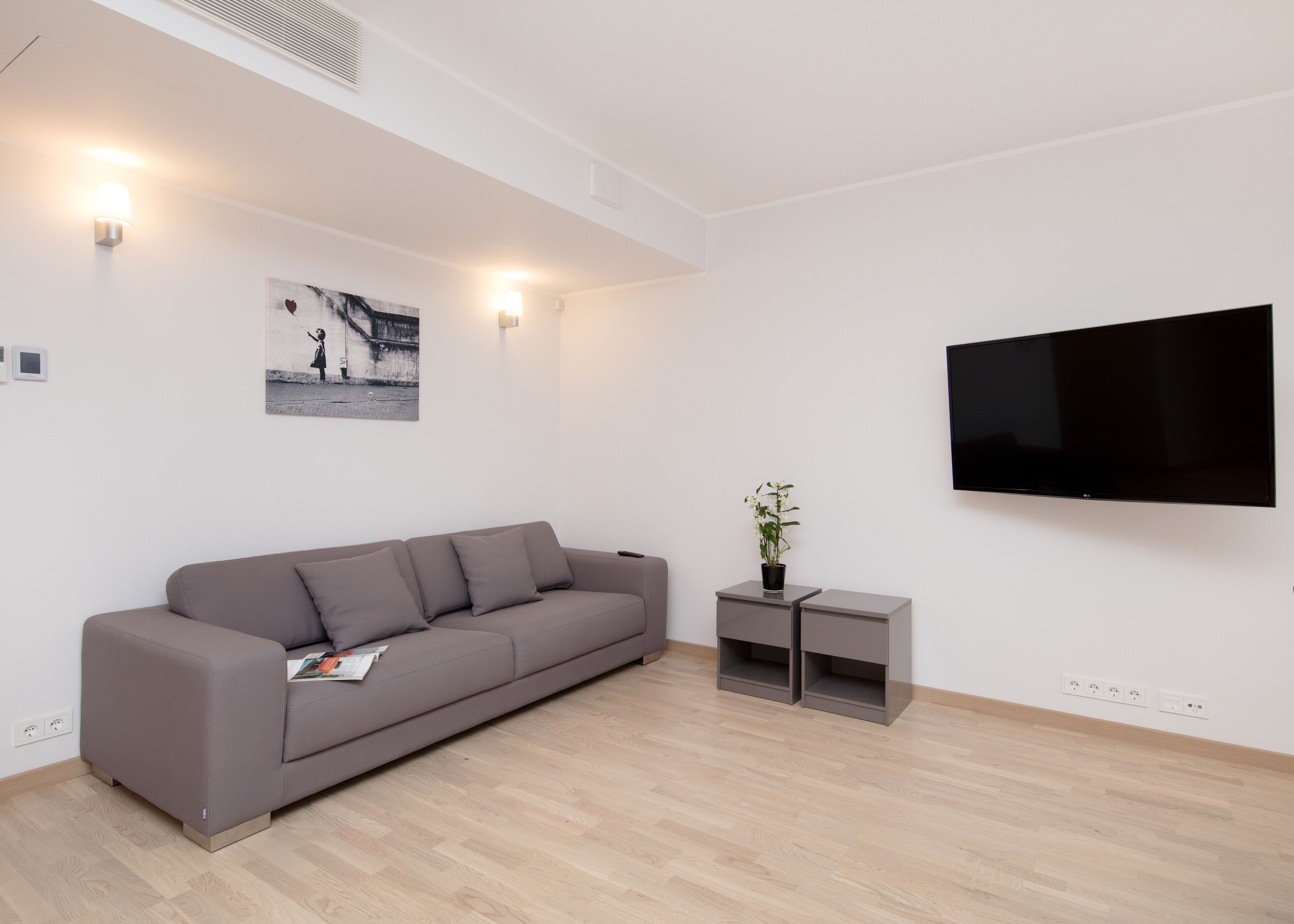 Una sala de estar moderna con un sofá gris, un televisor de pantalla plana, una mesita con una planta y un cuadro colgado en la pared.
