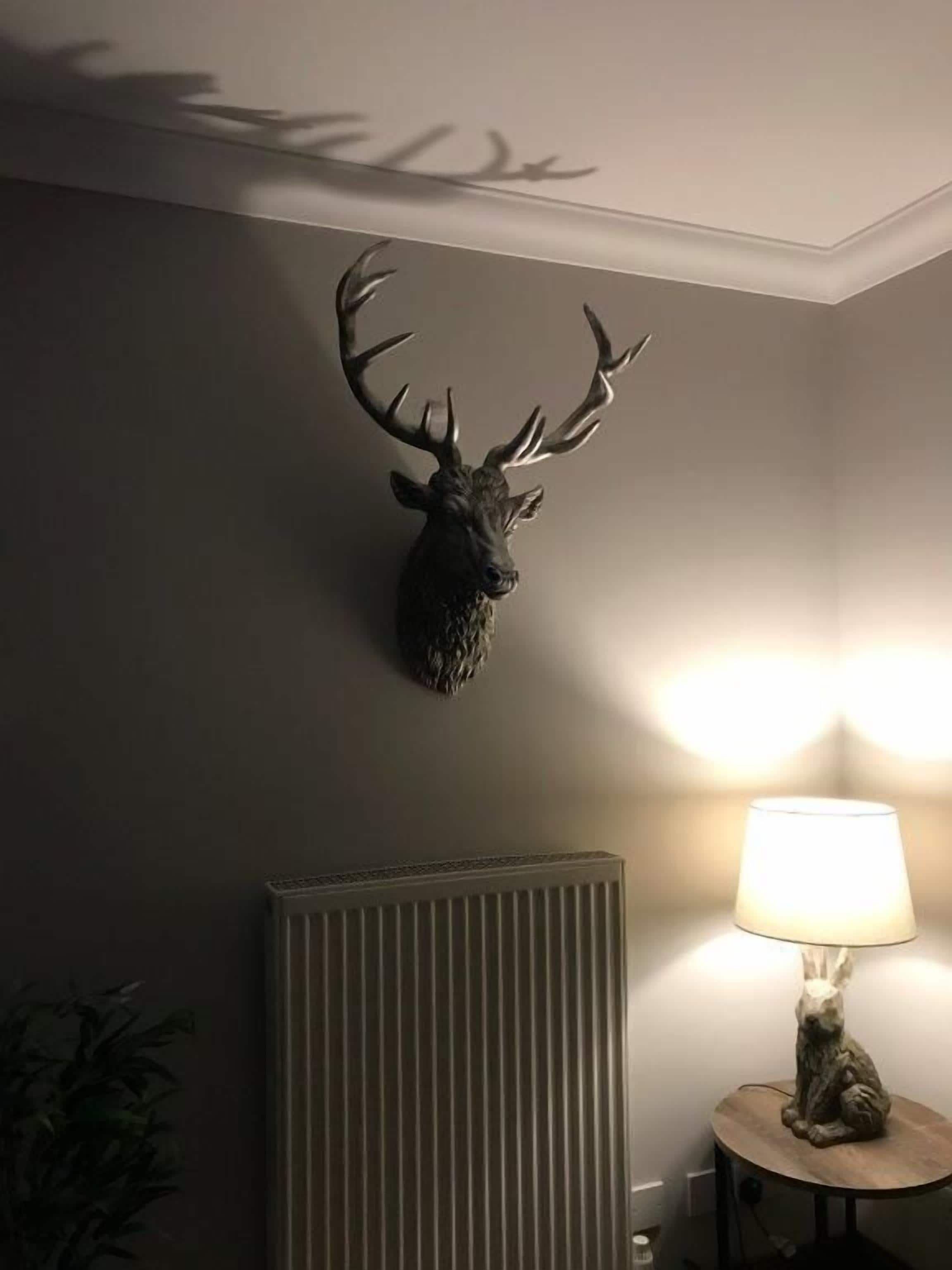 A room with a mounted deer head on the wall, a radiator, a lamp on a small table, and a shadow of a deer on the ceiling.