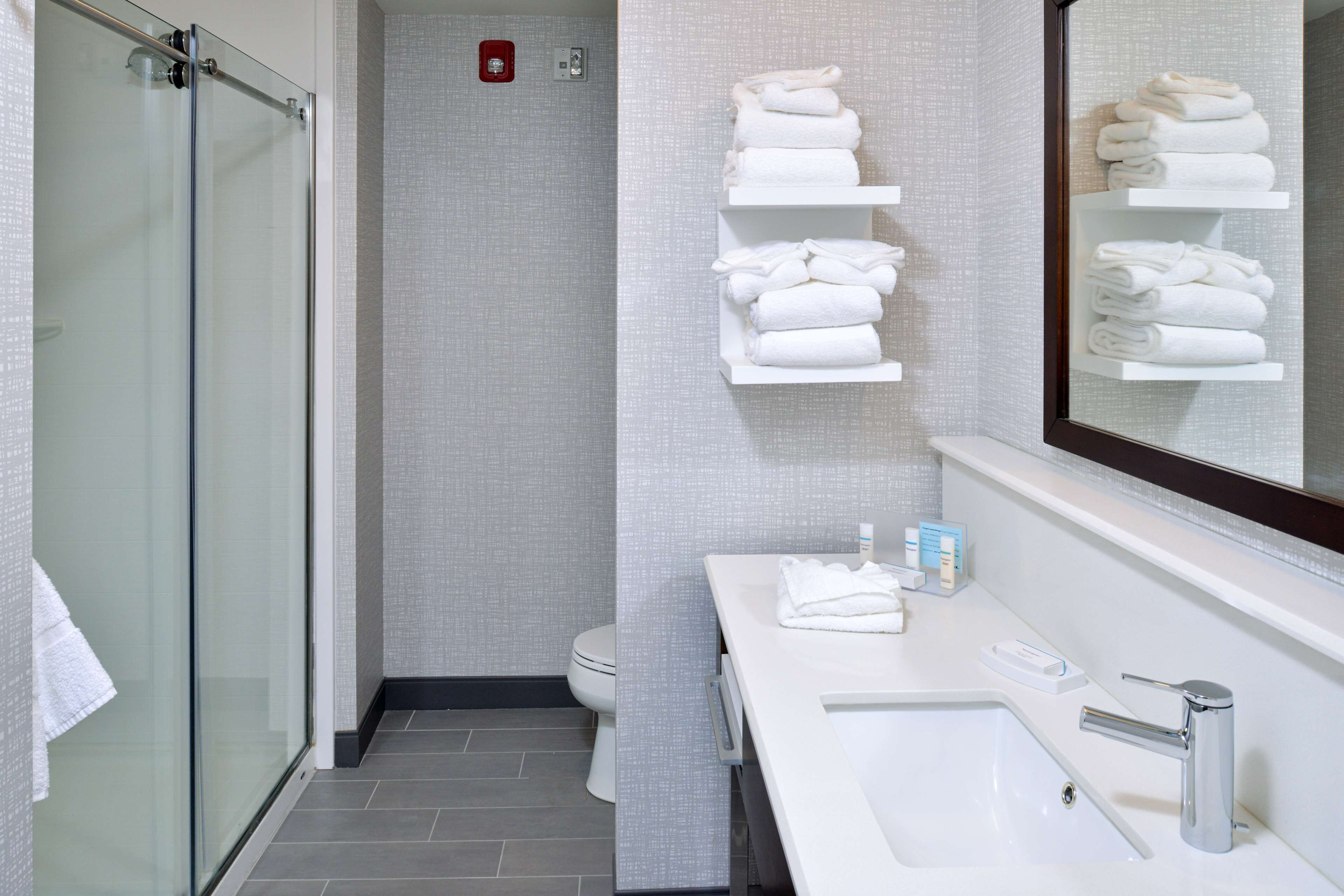 room, 1 king bed, accessible, non smoking (hearing) | bathroom shower