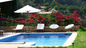 A rectangular pool with lounge chairs and umbrellas, surrounded by lush greenery and flowering plants. - Sa Plana Petit Hotel (Estellencs)