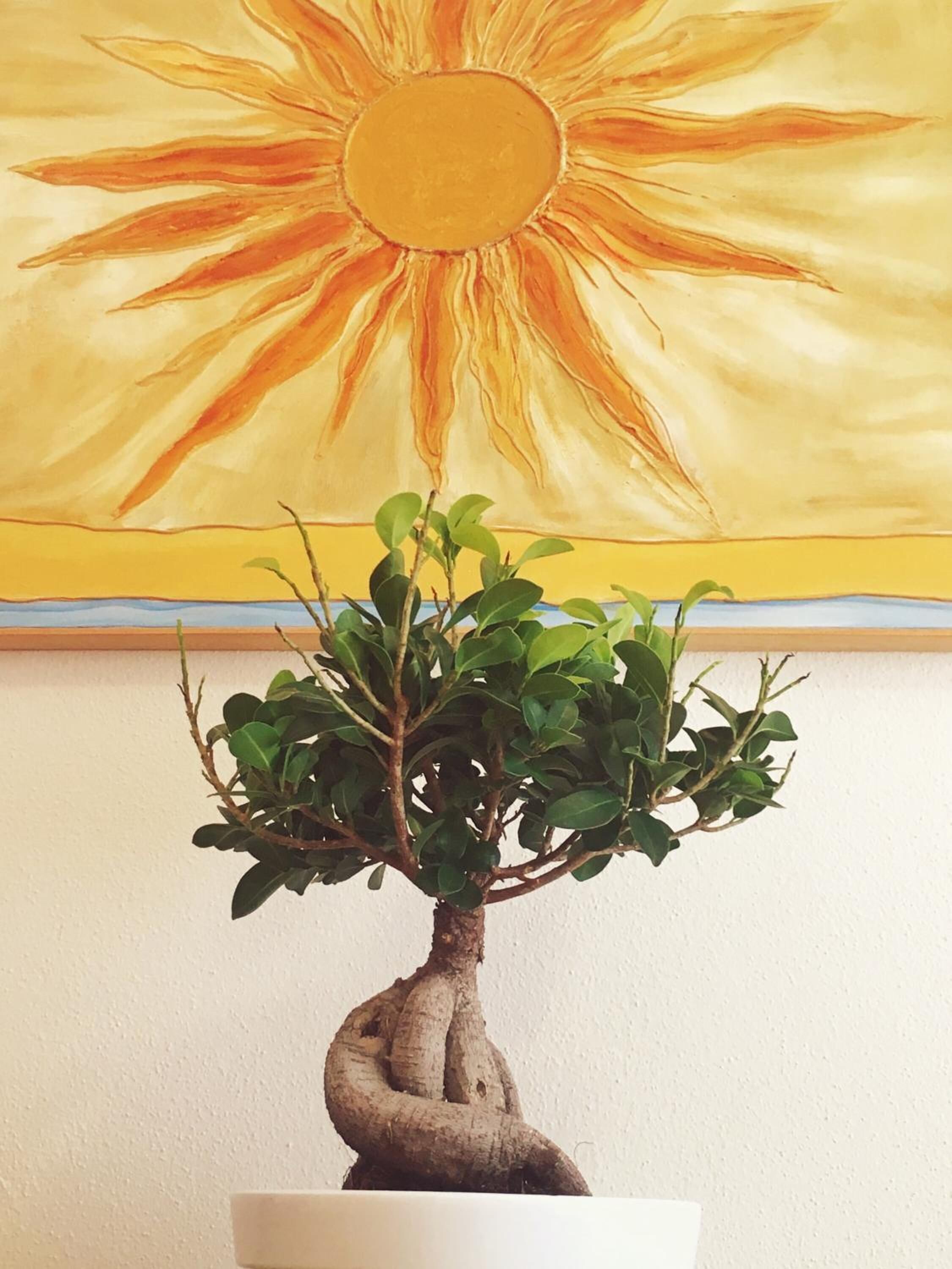 Foto - Acqua Chiara Alghero