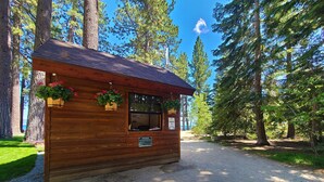 A wooden cabin with a gravel path leading to it, surrounded by tall trees.