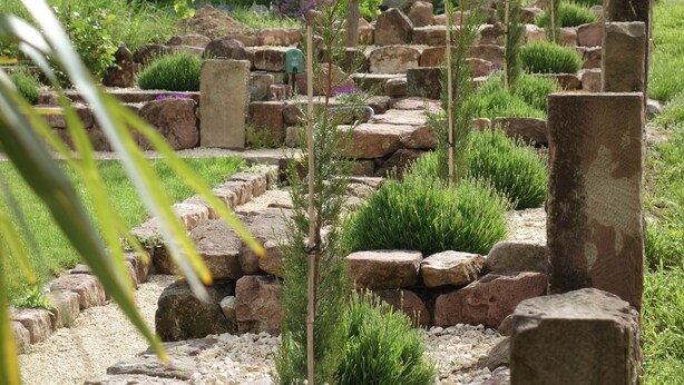A garden with stone pathways, green plants, and a small green structure. - Casa Palatina Vinotel (Grosskarlbach)