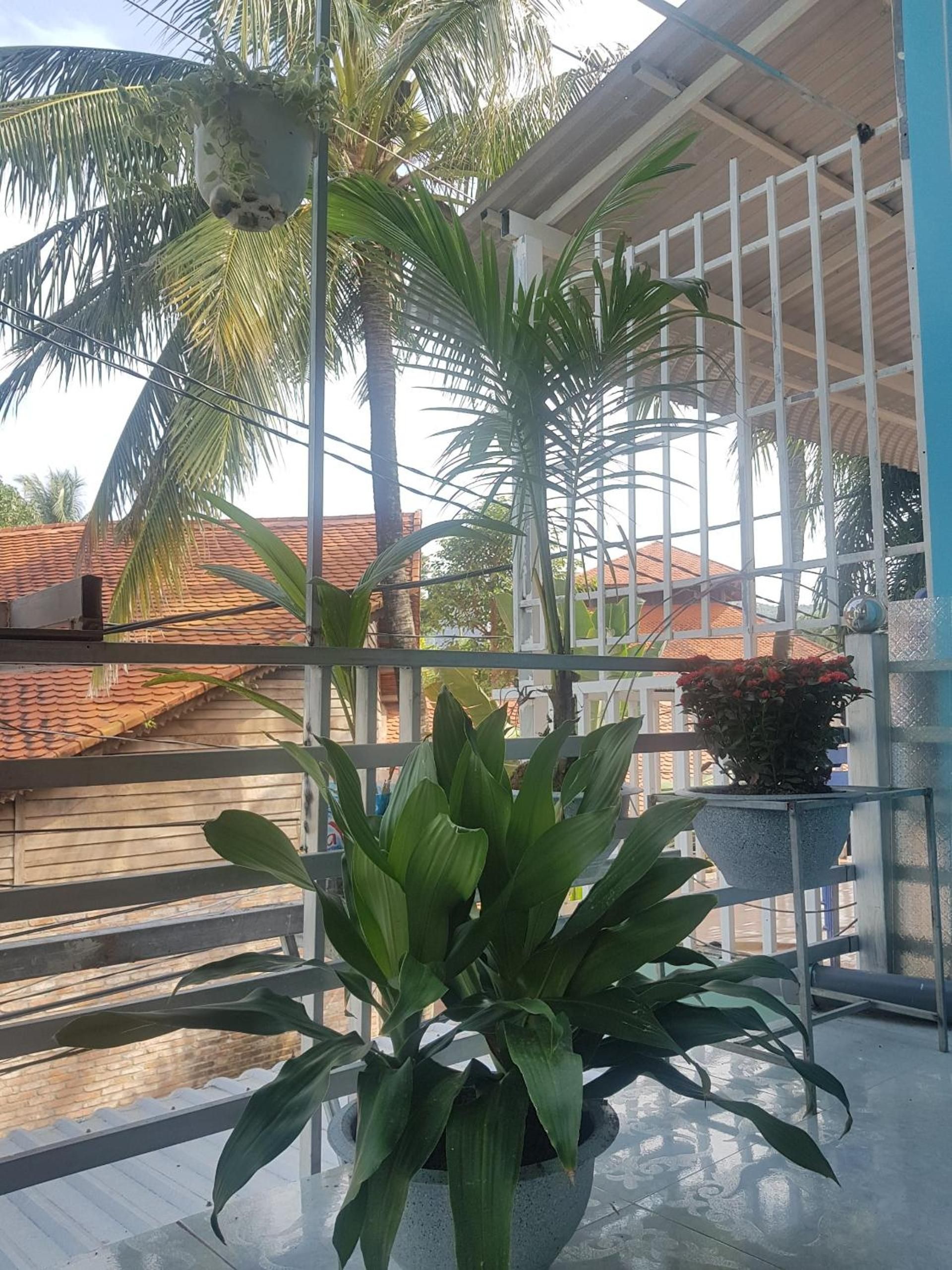 Un balcón con plantas en macetas, baranda de metal y vista de un edificio con tejado de tejas.