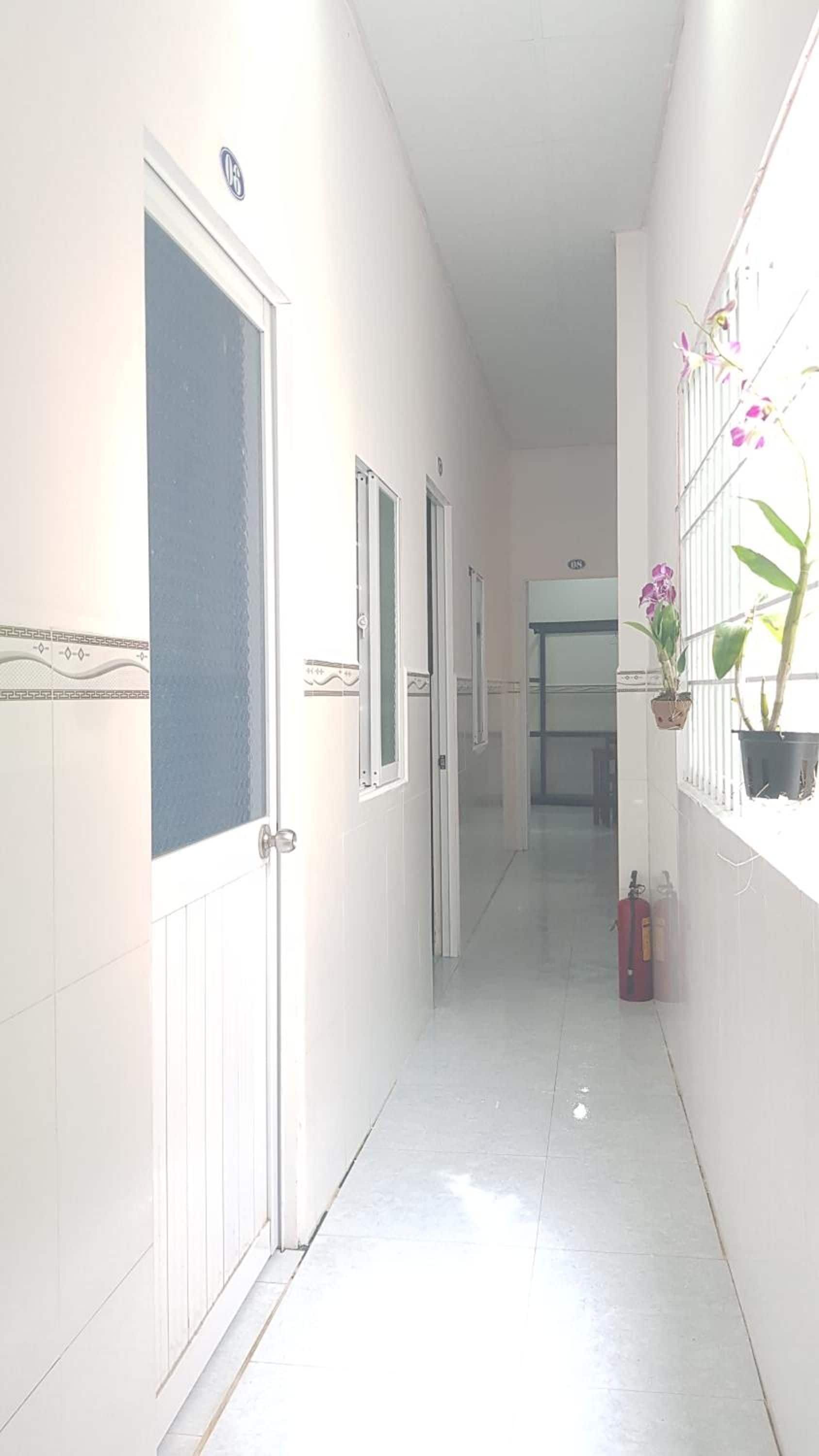A corridor with doors, a fire extinguisher, and potted plants.