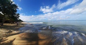 A beach with palm trees, clear skies, and calm waves. - Tai Tri Guesthouse (Phu Quoc)