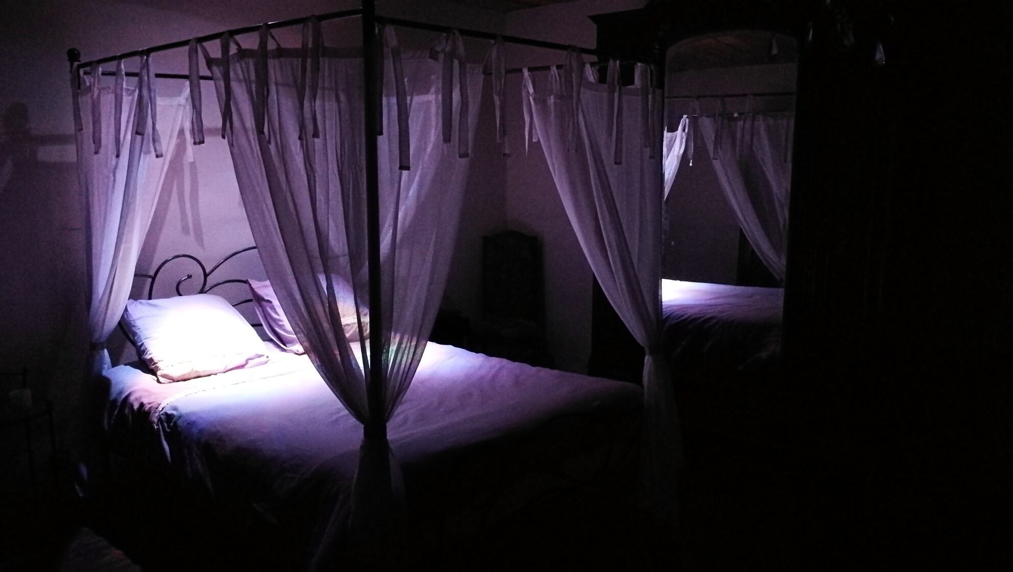 Una habitación tenuemente iluminada con una cama con dosel y cortinaje.