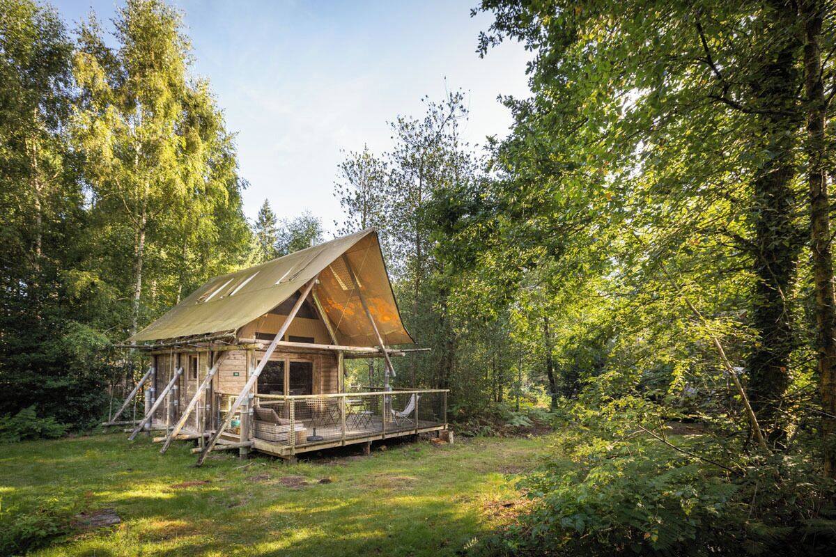 Una cabaña de madera con techo inclinado, rodeada de un bosque denso.
