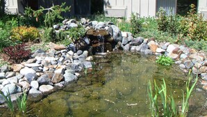 Garden - Wilderness Inn (Enterprise)
