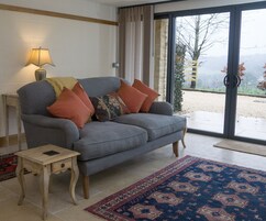 50-inch flat-screen TV with digital channels, TV, fireplace