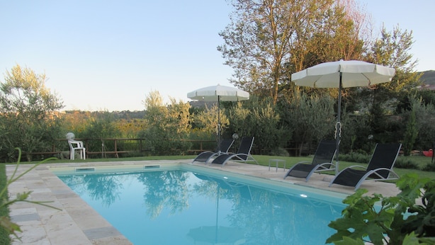 Una piscina con tumbonas y sombrillas, rodeada de vegetación y árboles.
