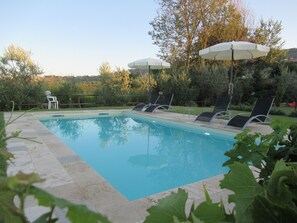 Una piscina con tumbonas y sombrillas, rodeada de vegetación y árboles.