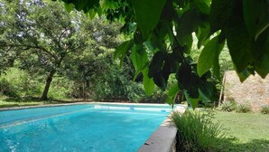 Una piscina rectangular con borde de hormigón, rodeada de abundante vegetación y un muro de piedra al fondo.