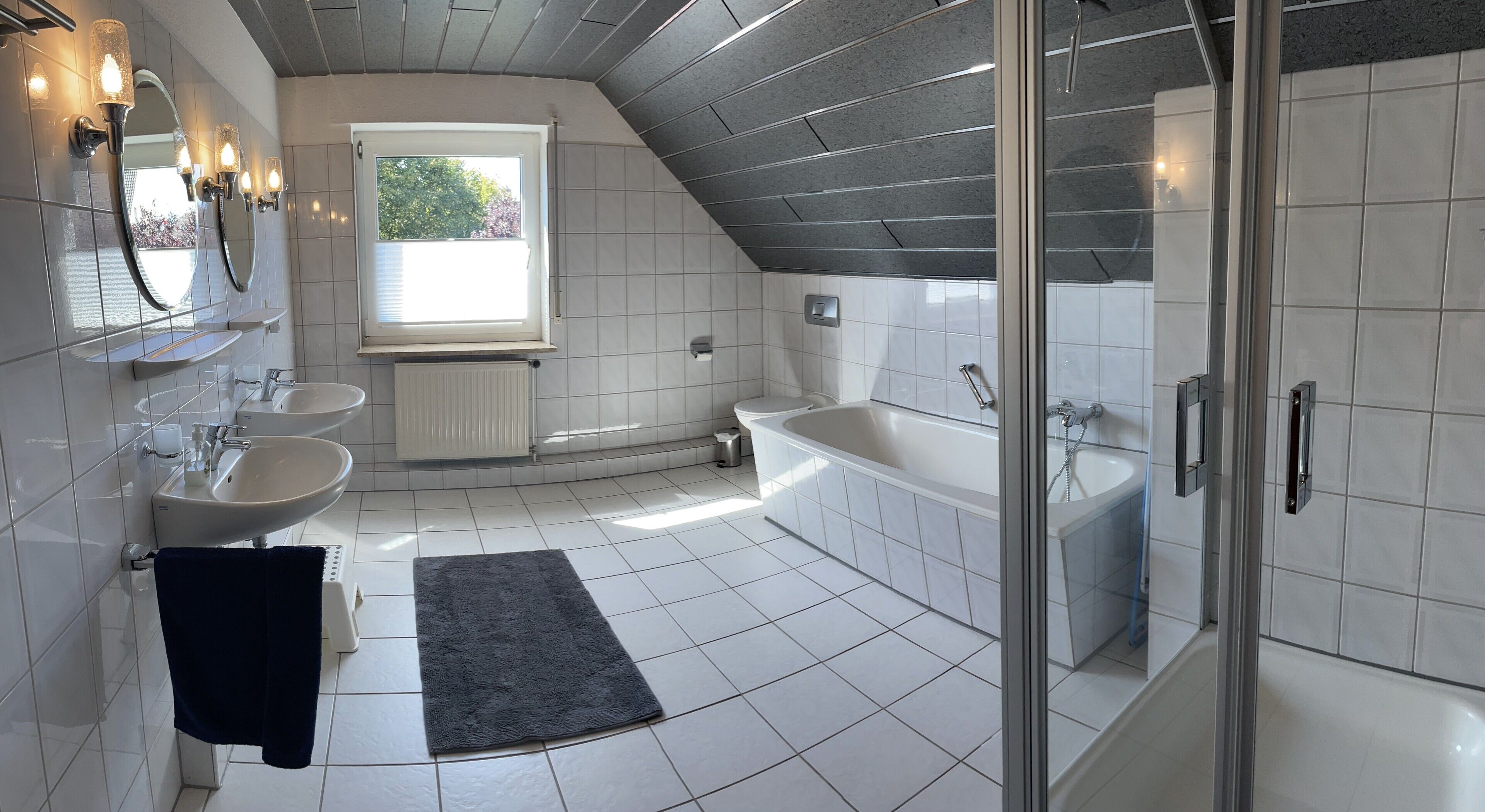 Hair dryer, towels, toilet paper