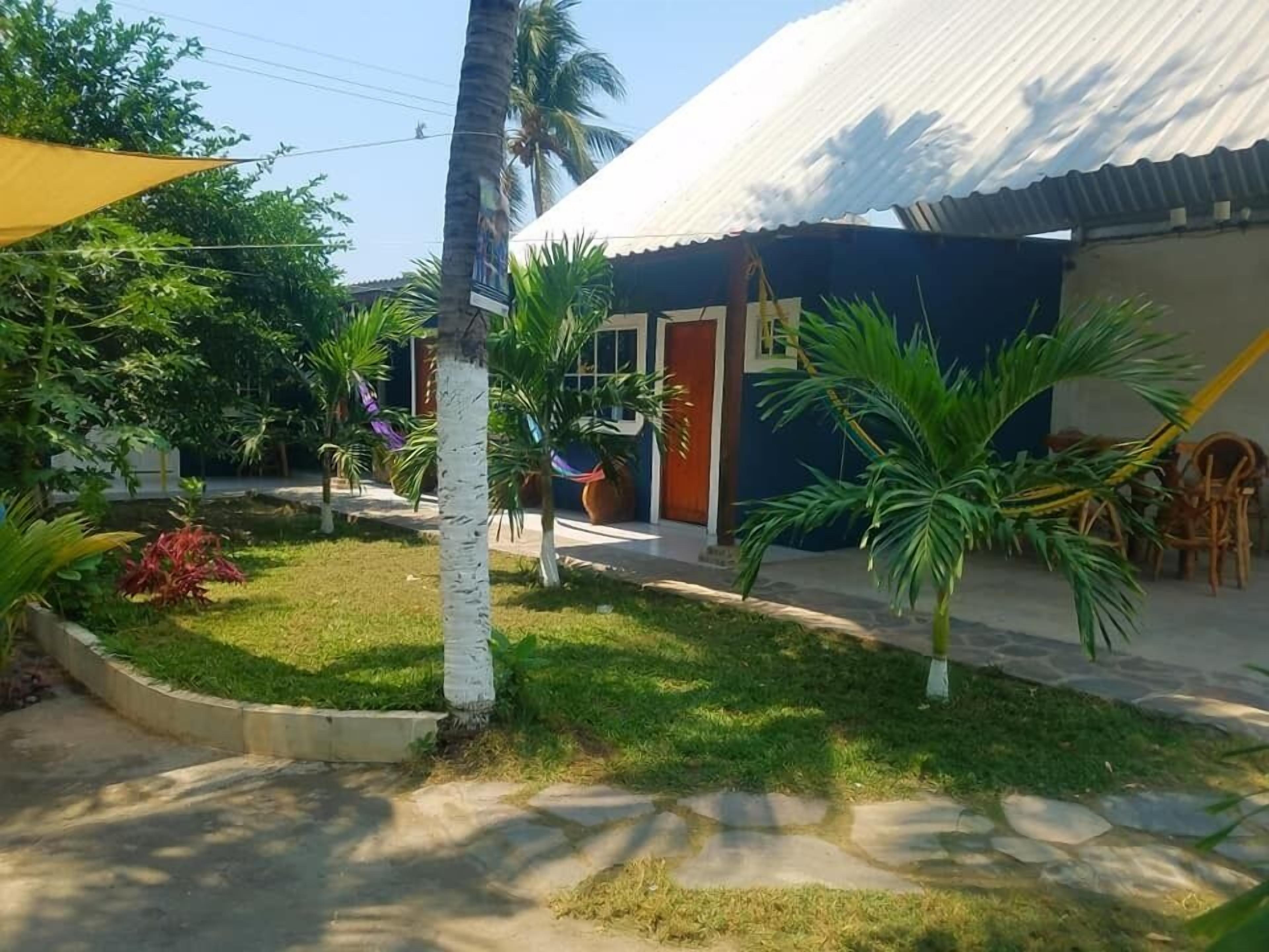 A residential area with a house featuring a corrugated metal roof, a small garden with palm trees, and a concrete pathway.