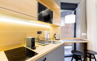 Deluxe Apartment | Private kitchenette | Fridge, microwave, oven, stovetop