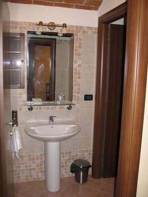 Shower, rainfall showerhead, free toiletries, hair dryer - Bed & Breakfast Dal Conte (Condove)