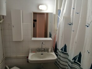 Combined shower/bathtub, hair dryer, towels, soap