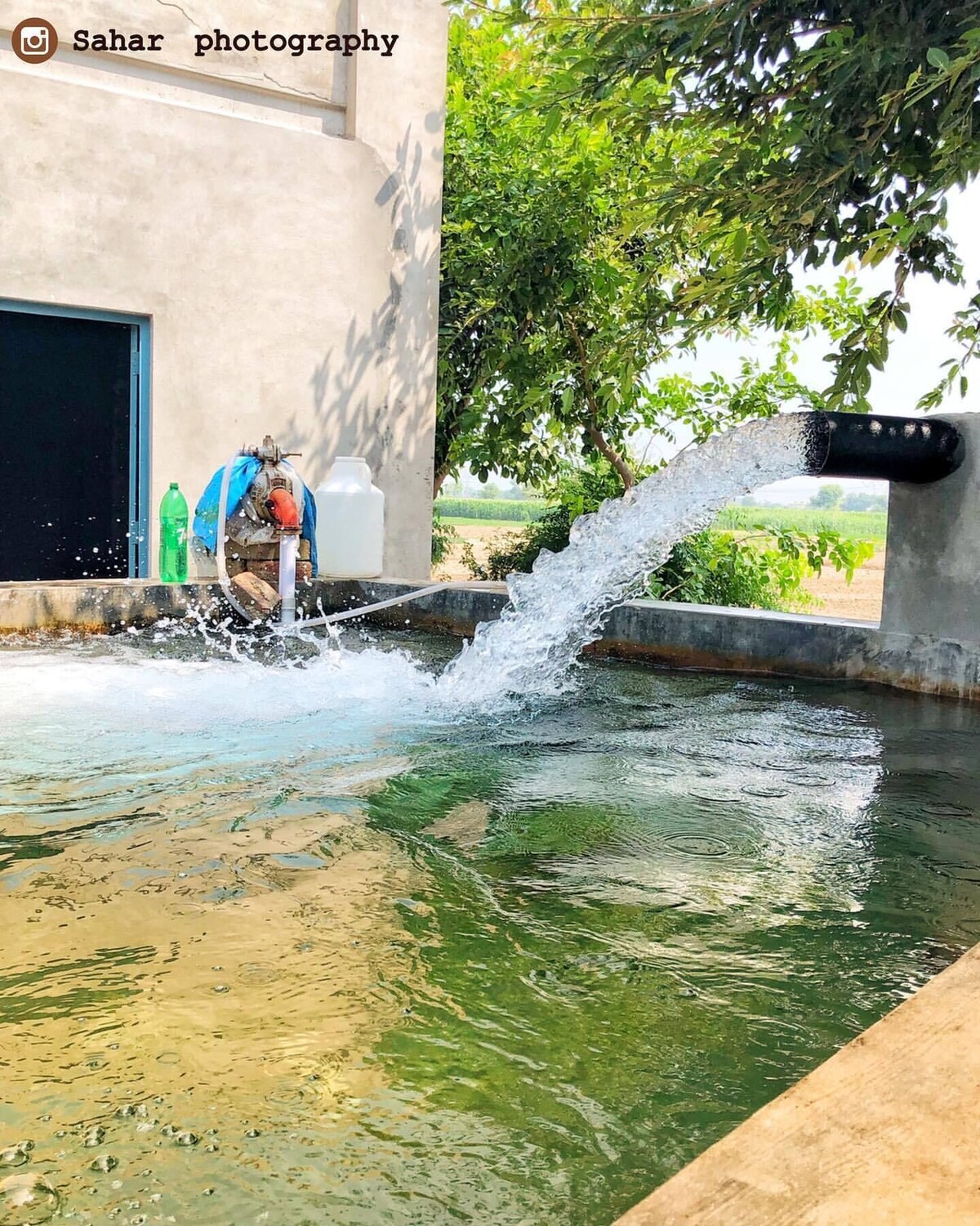 オーナーのプロフィール画像