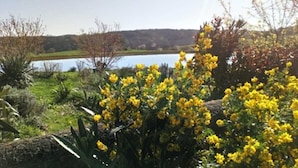 Um lago com flores amarelas ao primeiro plano e um céu claro.