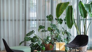 Un interior moderno con un ventanal grande, una lámpara colgante negra y varias plantas en macetas.