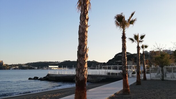 A coastal promenade with palm trees, a concrete walkway, and a view of the sea and distant buildings. - Hotel Sibilla Residence (Pozzuoli)