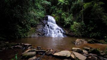 Uma cascata em área arborizada com pedras e água na base.
