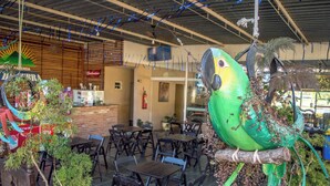Un interior de restaurante con mesas y sillas, una barra y plantas decorativas.